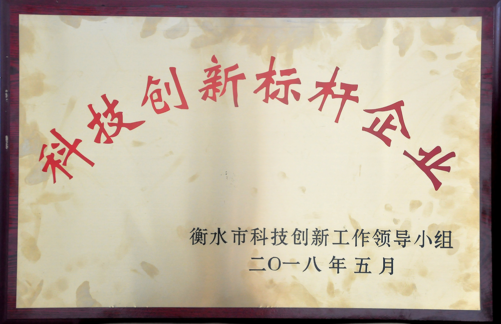 雷速体育官网_雷速(中国)股份荣获“科技创新标杆企业”荣誉称号